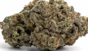 Banana Punch