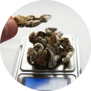 Mushrooms