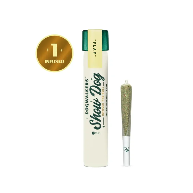 Durban Z [1g]-Dogwalkers