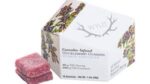 Huckleberry Hybrid Enhanced Gummies | 100mg-WYLD
