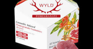 Pomegranate 1:1 CBD + Hybrid Enhanced Gummies | 100mg THC:100mg CBD